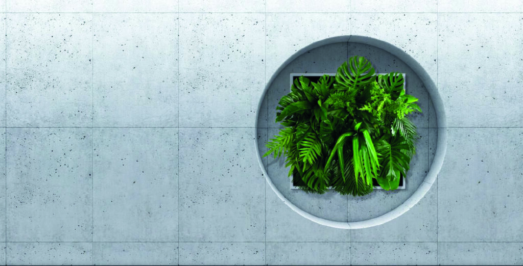 Circular planter with lush tropical plants set into a concrete wall.