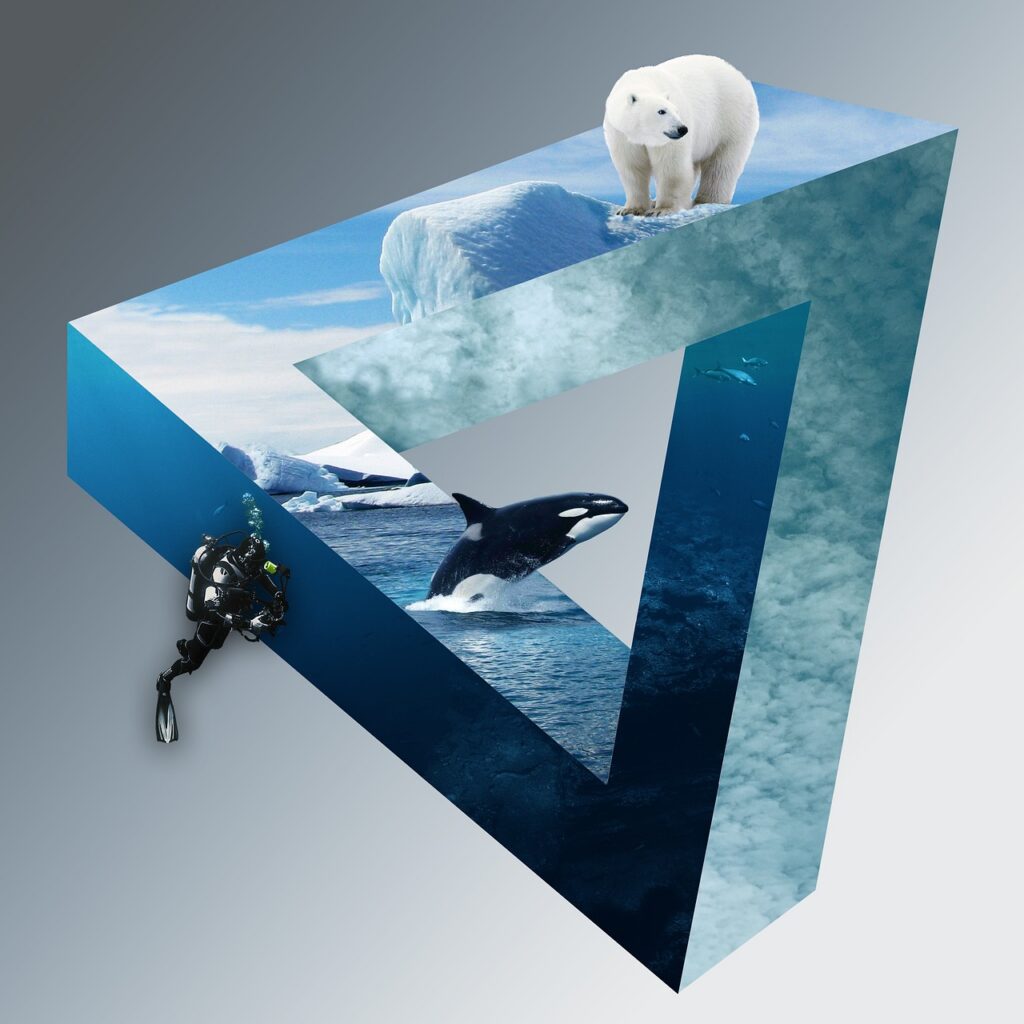 icebear, diver, whale, orca, icebergs, clouds, deep sea, research, nature, adventure, science, symbiosis, threat, protection, mystery, escher, triangle, escher triangle, icebear, whale, orca, orca, symbiosis, escher, escher, escher, triangle, triangle, triangle, triangle, triangle